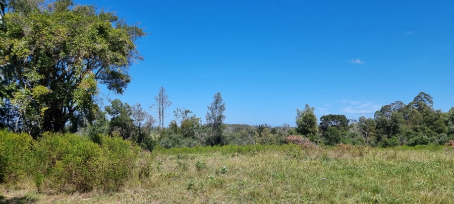  Bedroom Property for Sale in Knysna Rural Western Cape